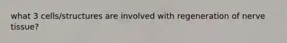 what 3 cells/structures are involved with regeneration of nerve tissue?