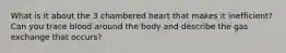 What is it about the 3 chambered heart that makes it inefficient? Can you trace blood around the body and describe the gas exchange that occurs?