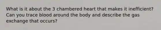 What is it about the 3 chambered heart that makes it inefficient? Can you trace blood around the body and describe the gas exchange that occurs?