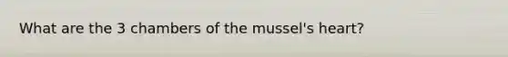 What are the 3 chambers of the mussel's heart?