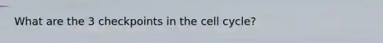 What are the 3 checkpoints in the <a href='https://www.questionai.com/knowledge/keQNMM7c75-cell-cycle' class='anchor-knowledge'>cell cycle</a>?