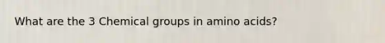 What are the 3 Chemical groups in amino acids?