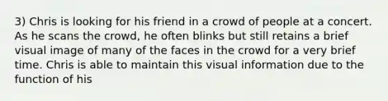 3) Chris is looking for his friend in a crowd of people at a concert. As he scans the crowd, he often blinks but still retains a brief visual image of many of the faces in the crowd for a very brief time. Chris is able to maintain this visual information due to the function of his