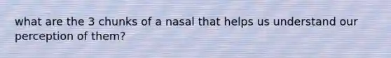 what are the 3 chunks of a nasal that helps us understand our perception of them?