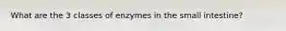 What are the 3 classes of enzymes in the small intestine?