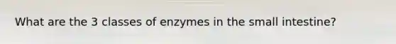 What are the 3 classes of enzymes in the small intestine?