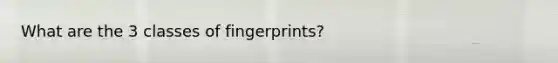 What are the 3 classes of fingerprints?