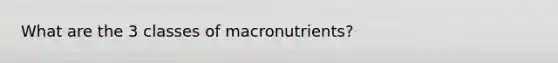 What are the 3 classes of macronutrients?