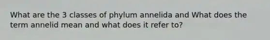 What are the 3 classes of phylum annelida and What does the term annelid mean and what does it refer to?