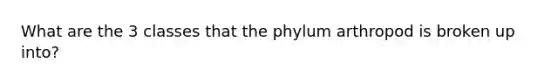 What are the 3 classes that the phylum arthropod is broken up into?