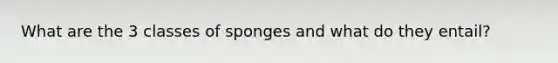 What are the 3 classes of sponges and what do they entail?