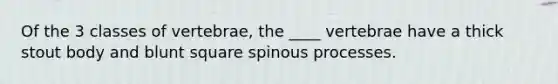 Of the 3 classes of vertebrae, the ____ vertebrae have a thick stout body and blunt square spinous processes.