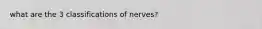 what are the 3 classifications of nerves?