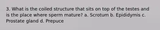 3. What is the coiled structure that sits on top of the testes and is the place where sperm mature? a. Scrotum b. Epididymis c. Prostate gland d. Prepuce