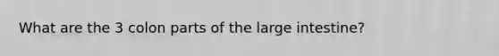 What are the 3 colon parts of the large intestine?