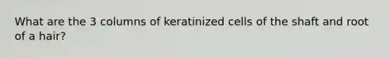 What are the 3 columns of keratinized cells of the shaft and root of a hair?