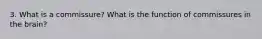 3. What is a commissure? What is the function of commissures in the brain?