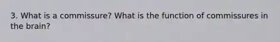 3. What is a commissure? What is the function of commissures in the brain?