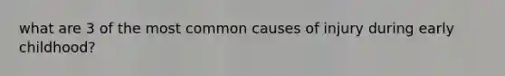 what are 3 of the most common causes of injury during early childhood?