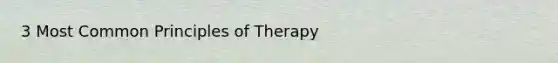 3 Most Common Principles of Therapy