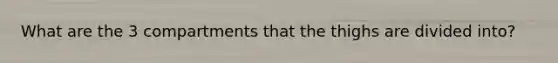 What are the 3 compartments that the thighs are divided into?