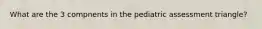What are the 3 compnents in the pediatric assessment triangle?