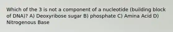 Which of the 3 is not a component of a nucleotide (building block of DNA)? A) Deoxyribose sugar B) phosphate C) Amina Acid D) Nitrogenous Base