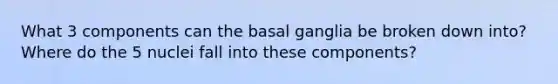 What 3 components can the basal ganglia be broken down into? Where do the 5 nuclei fall into these components?