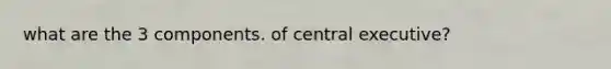 what are the 3 components. of central executive?