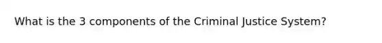 What is the 3 components of the Criminal Justice System?