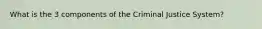 What is the 3 components of the Criminal Justice System?