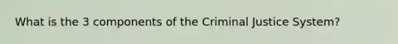 What is the 3 components of the Criminal Justice System?