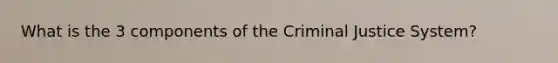 What is the 3 components of the Criminal Justice System?