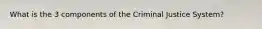 What is the 3 components of the Criminal Justice System?