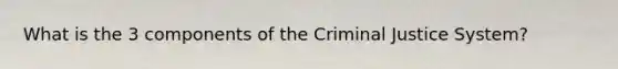 What is the 3 components of the Criminal Justice System?