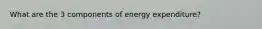 What are the 3 components of energy expenditure?