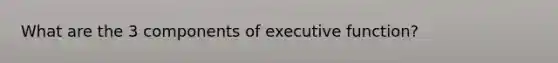 What are the 3 components of executive function?