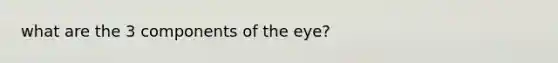 what are the 3 components of the eye?