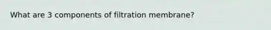 What are 3 components of filtration membrane?