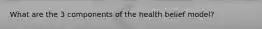 What are the 3 components of the health belief model?