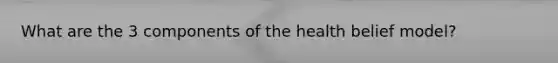 What are the 3 components of the health belief model?
