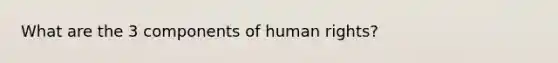 What are the 3 components of human rights?