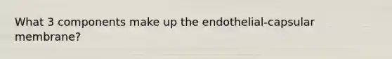 What 3 components make up the endothelial-capsular membrane?
