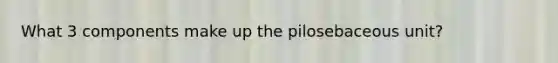 What 3 components make up the pilosebaceous unit?