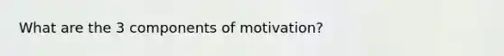 What are the 3 components of motivation?