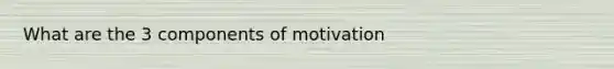 What are the 3 components of motivation