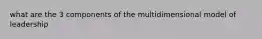 what are the 3 components of the multidimensional model of leadership