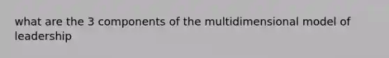 what are the 3 components of the multidimensional model of leadership