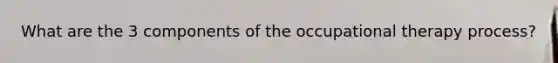 What are the 3 components of the occupational therapy process?