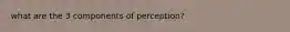what are the 3 components of perception?